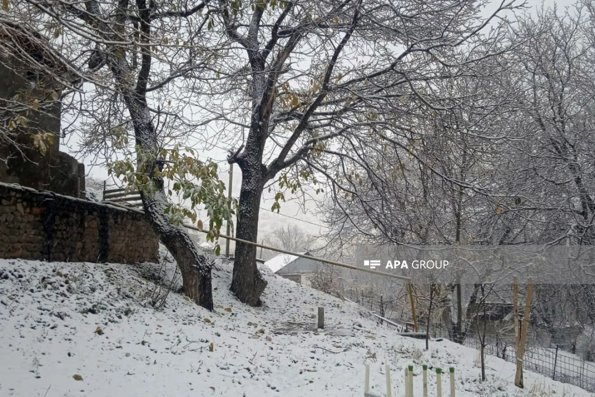 Naxçıvana qar yağıb - FOTO