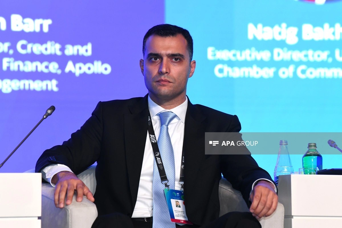 İcraçı direktor: Amerika şirkətlərinin Cənubi Qafqaza marağı artır