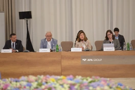 Bakıda itkin düşmüş şəxslər mövzusunda beynəlxalq konfrans keçirilib - FOTO - YENİLƏNİB