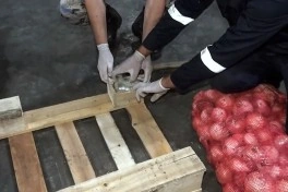 İrandan Rusiyaya soğan aparan yük maşınında 25 kq marixuana aşkar edilib - VİDEO