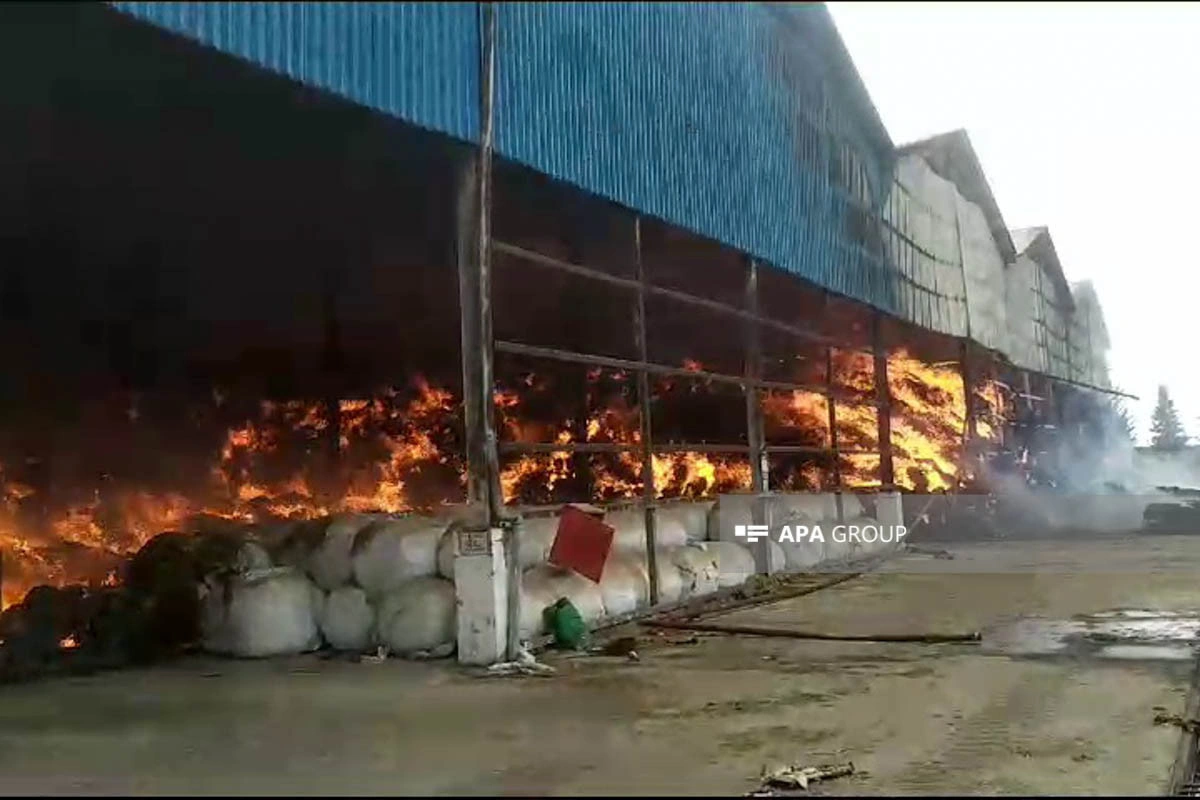 Xaçmazda aqroparkda yanğın başlayıb - FOTO - YENİLƏNİB
