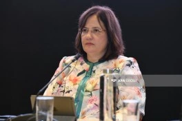 İqlim Həftəsi çərçivəsində növbəti panel sessiyası keçirilib - FOTO