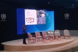 Professor: Sürətlə urbanizasiya olunan ərazilərdə məskənlər genişlənir