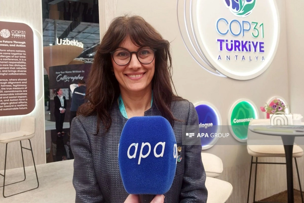 Türkiyəli nümayəndə: WUF13 üçün ciddi hazırlıq görülüb