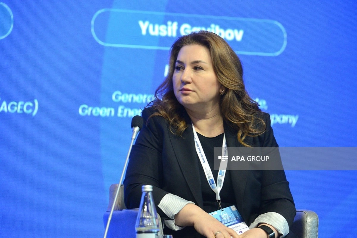AGEC: Azərbaycanda bərpa olunan enerji layihələrinin icra mexanizmləri təkmilləşdirilməlidir