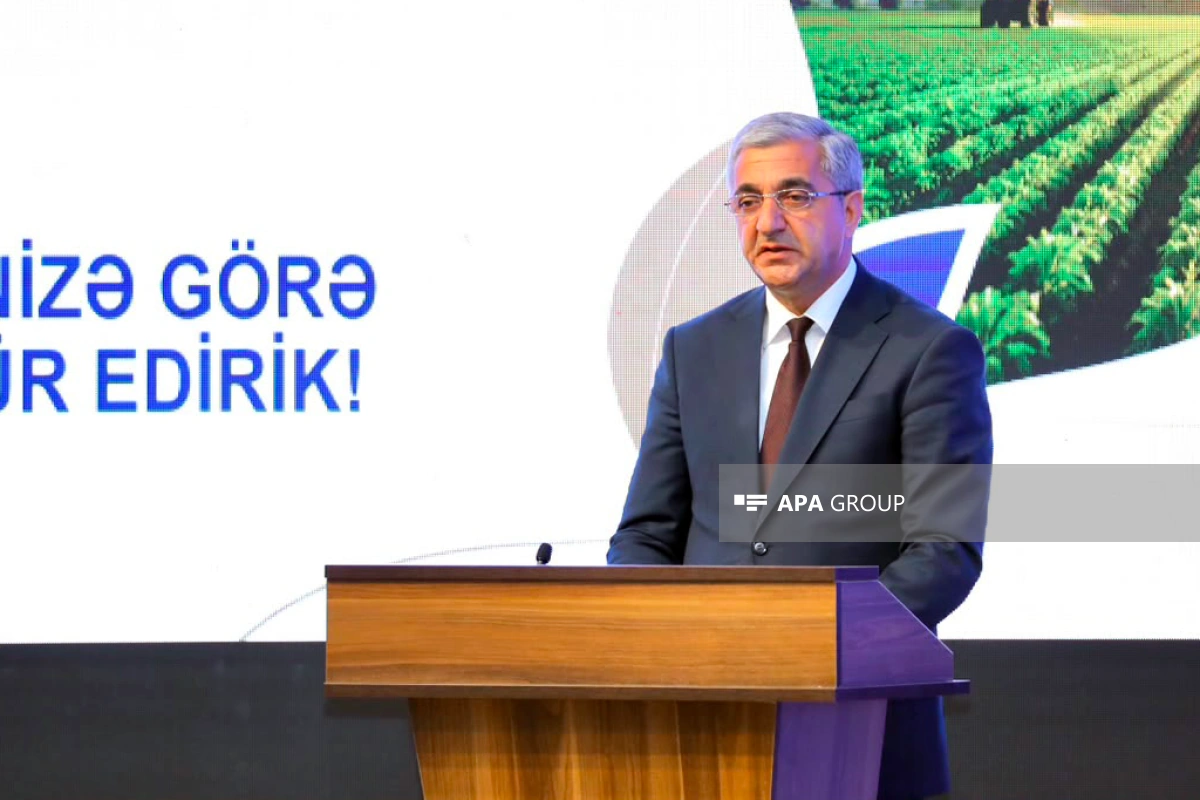Bu il Naxçıvanda 20 min hektar sahədə payızlıq taxıl əkini aparılacaq