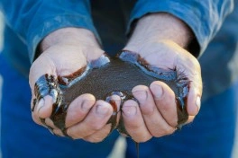 Balaxanı neftçiləri ilin ilk yarısını rekord hasilat göstəriciləri ilə bitiriblər
