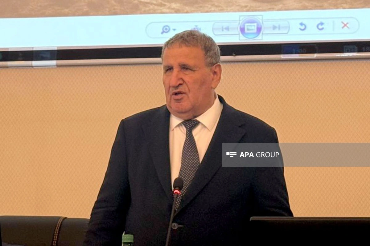 Tağlar mağarasında tapılan neandertal insan qalığı Yaponiyada analiz edilir, nəticələri bu il açıqlanacaq