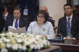 Milli Məclisin sədri MDB PA-nın Şura iclasında çıxış edib