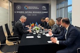 Pərviz Şahbazov İstanbulda Türkiyə və Moldovanın energetika nazirləri ilə görüşüb