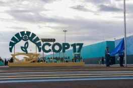 Deputat Pərvanə Vəliyeva COP17-də iştirak edib