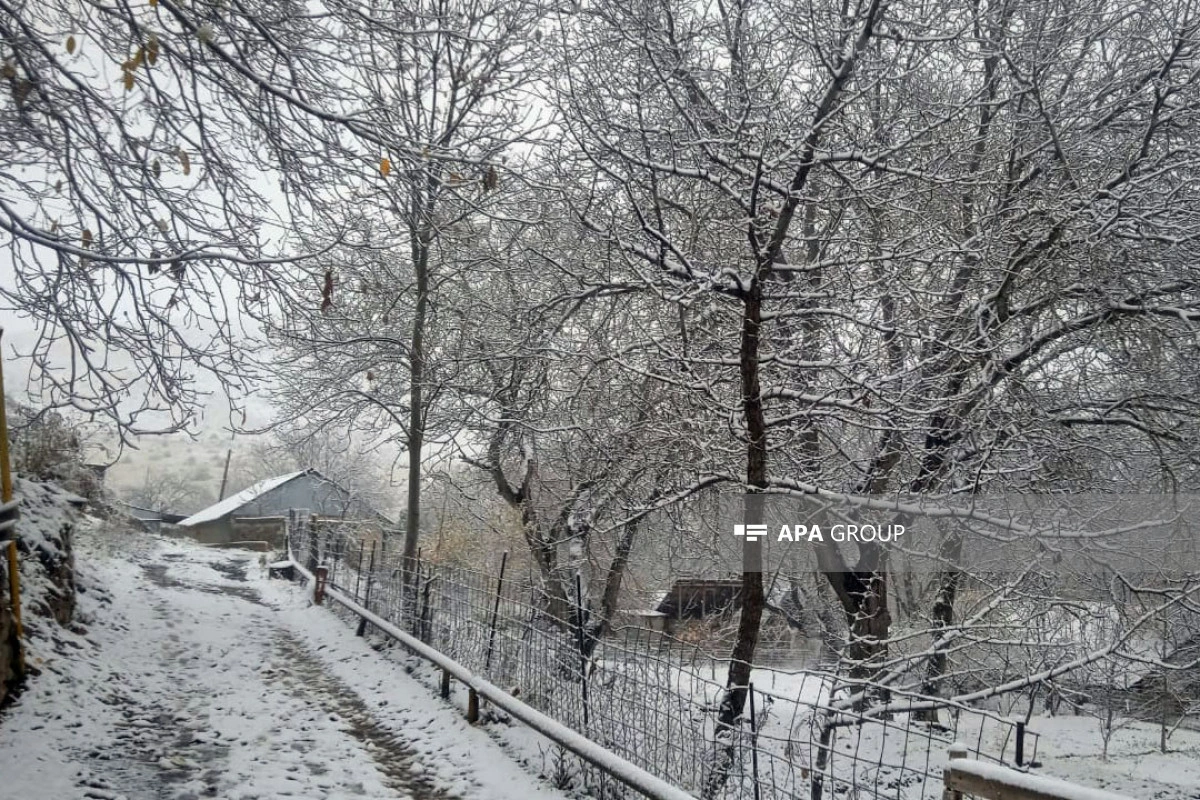 Naxçıvana qar yağıb - FOTO