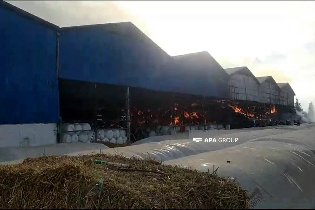 Xaçmazda aqroparkda yanğın başlayıb - FOTO - YENİLƏNİB