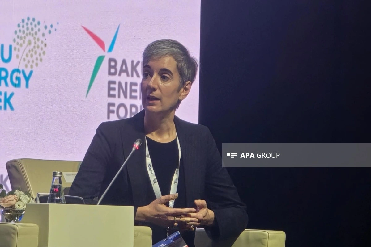 Dünya Bankı: Elektrik bazarı region ölkələrinə 30 mlrd. dollara qədər fayda verə bilər