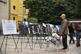 Avropanın bir sıra şəhərlərində Ermənistanın mina təhlükəsinə qarşı etiraz aksiyaları keçirilir - FOTO