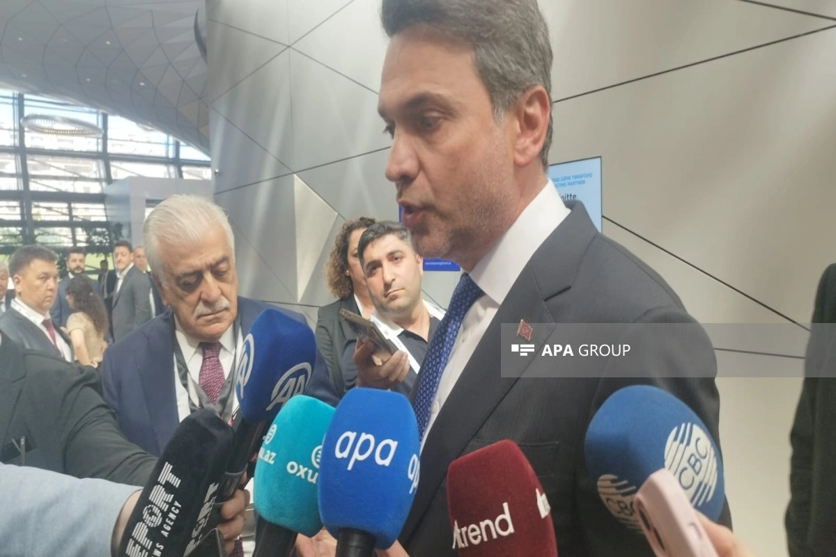 Bayraktar: Türkiyə TANAP-ın elektrik versiyasını yaratmaq niyyətindədir