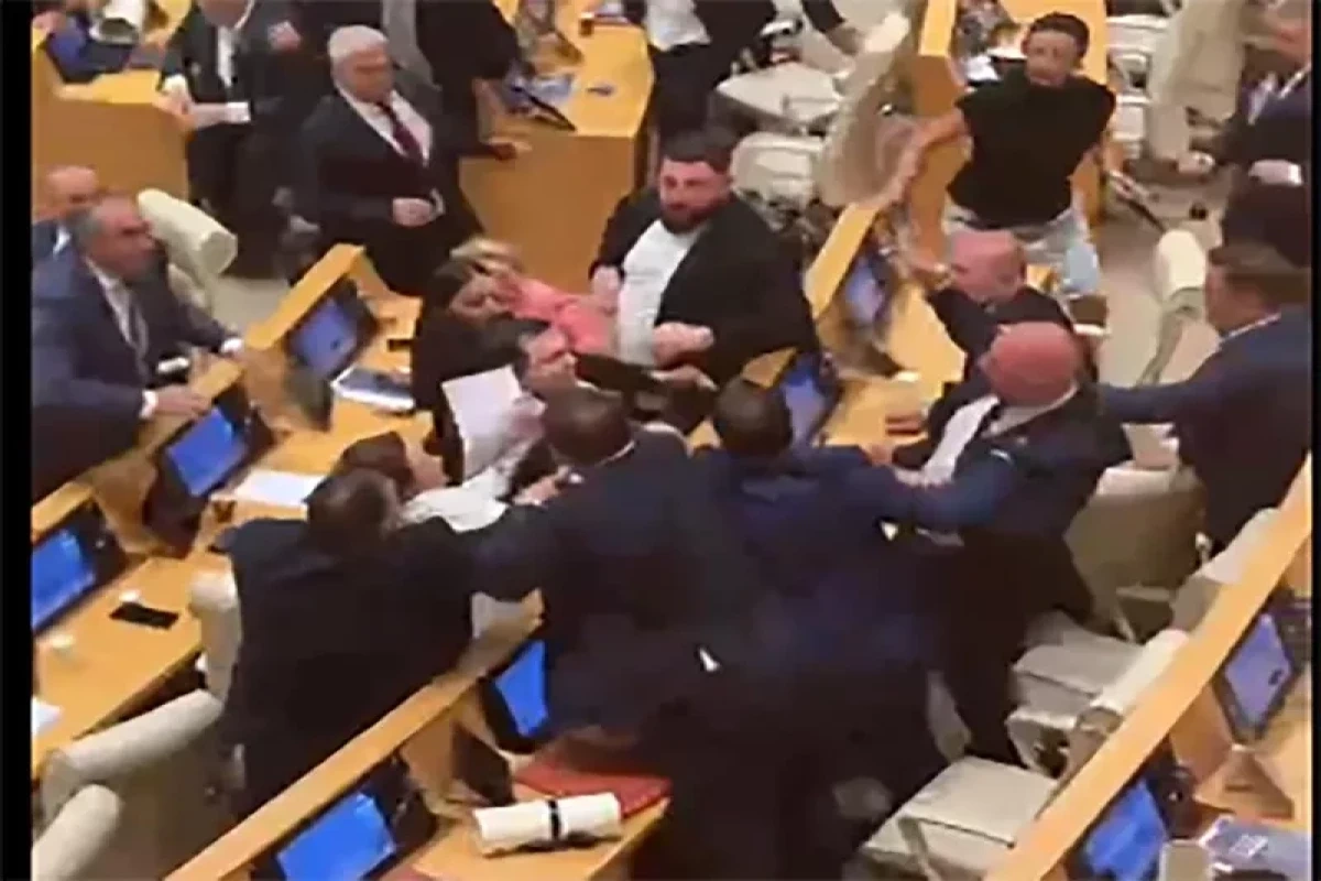 Gürcüstan parlamentinin iclasında dava düşüb - VİDEO