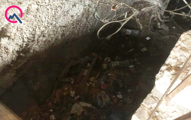 “Qışın bu soyuğunda ağcaqanad əlindən dayanmaq olmur”  - Foto
