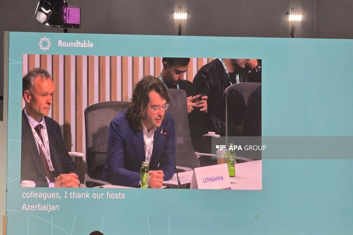 Litvalı nazir müavini: Azərbaycanın Ukraynanın bərpasına verdiyi dəstəyi alqışlayırıq