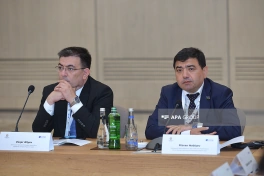 Bakıda itkin düşmüş şəxslər mövzusunda beynəlxalq konfrans keçirilib - FOTO - YENİLƏNİB