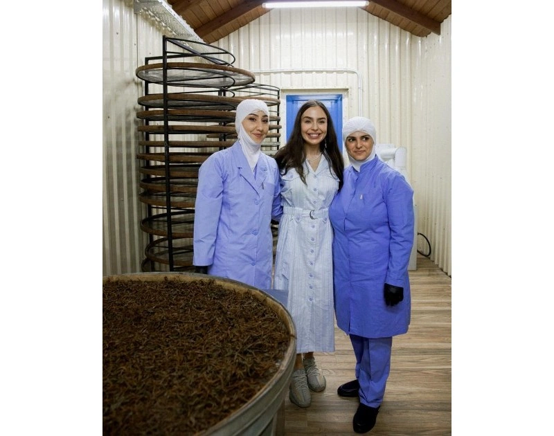 Leyla Əliyeva Lənkəranda “Yaşıl çay” fermer təsərrüfatı ilə tanış olub - FOTO