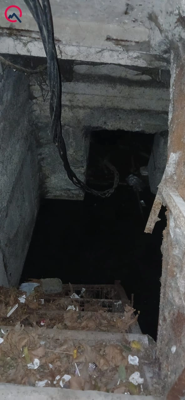 “Qışın bu soyuğunda ağcaqanad əlindən dayanmaq olmur”  - Foto