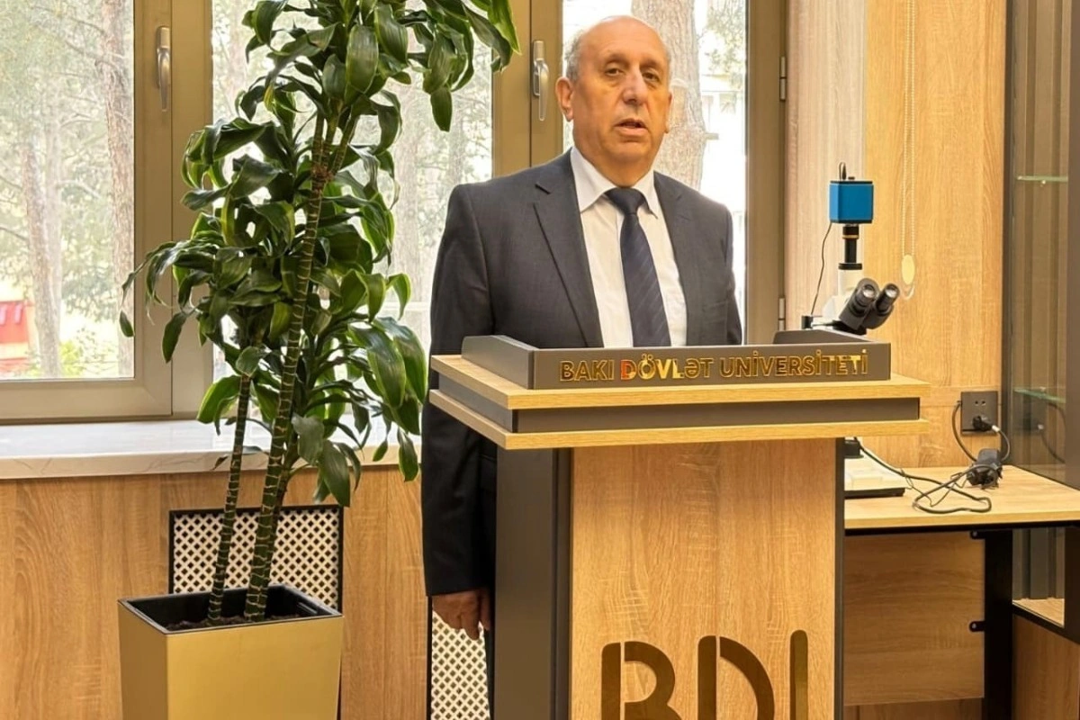 Professor: Dağ-mədən sahəsinin dinamikası ancaq müsbət tərəfədir - RƏY