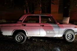 Lənkəranda ağaca çırpılan avtomobilin sürücüsü ölüb