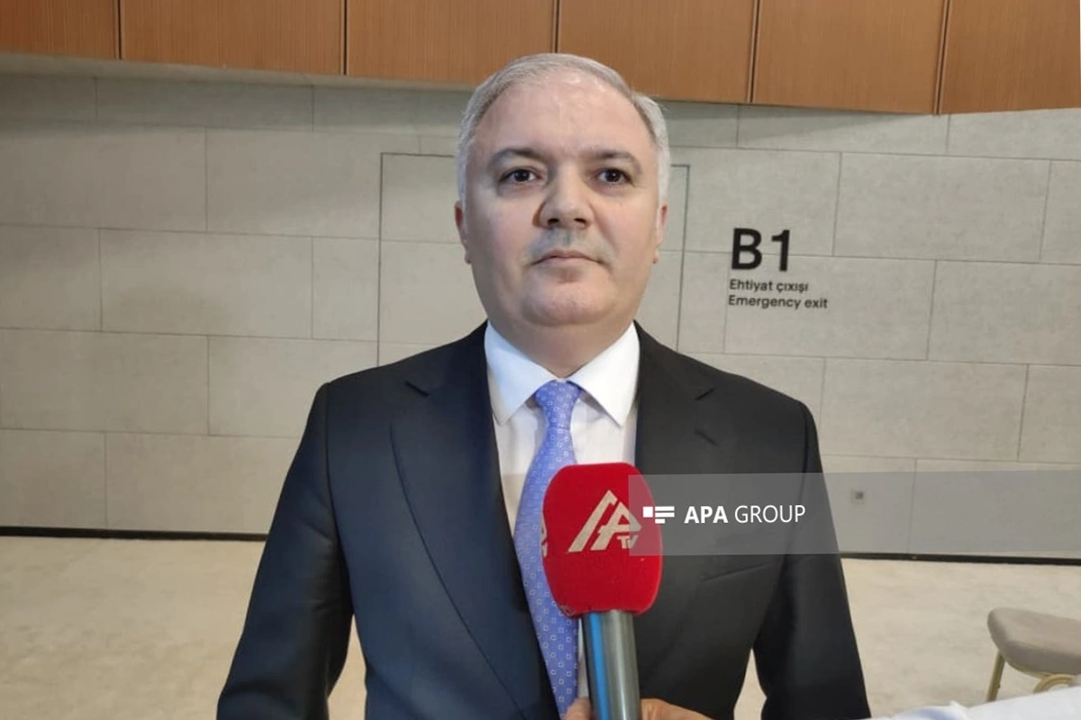 Xüsusi nümayəndə: Kəlbəcərdə aqrar sahənin inkişafı prioritet istiqamətlərdən biridir