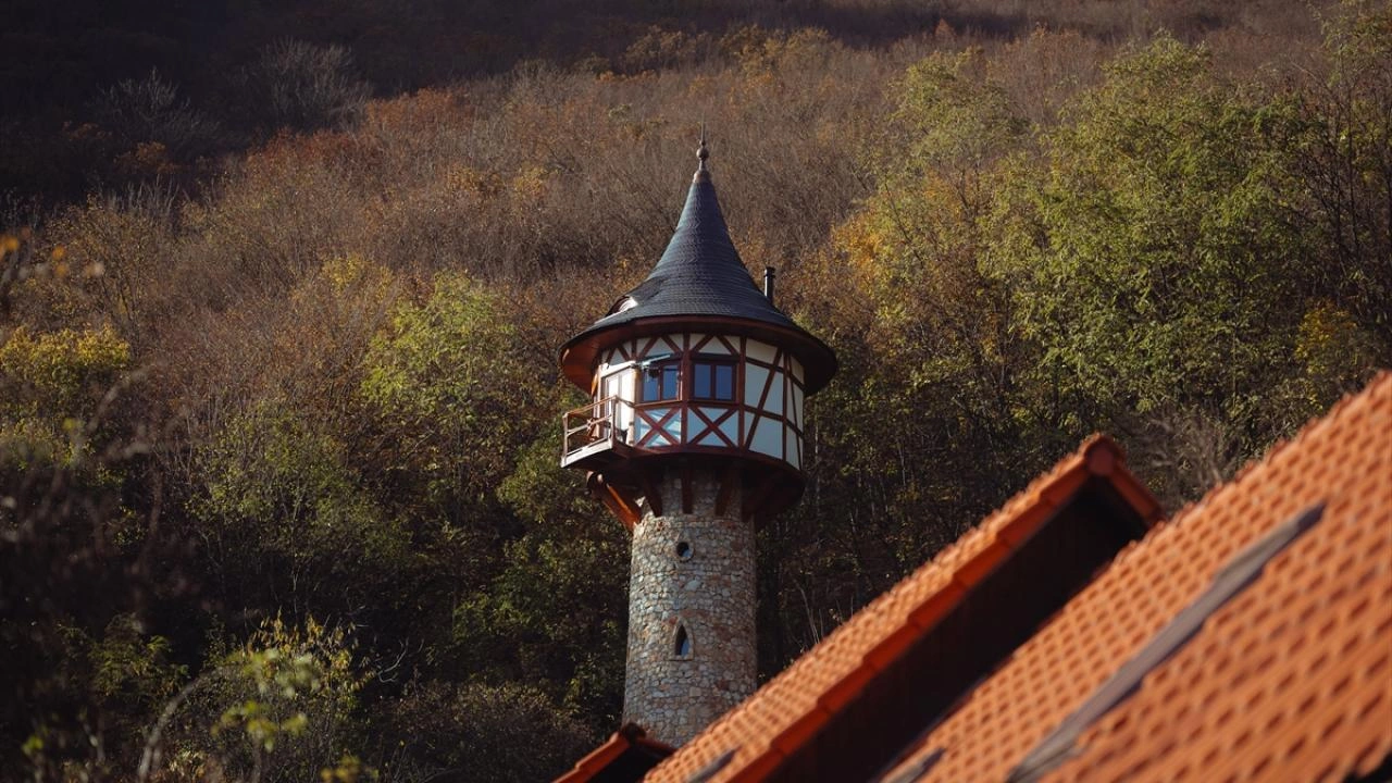 “Rapunzel”dən ilhamlanaraq qüllə tikdi
- Fotolar
