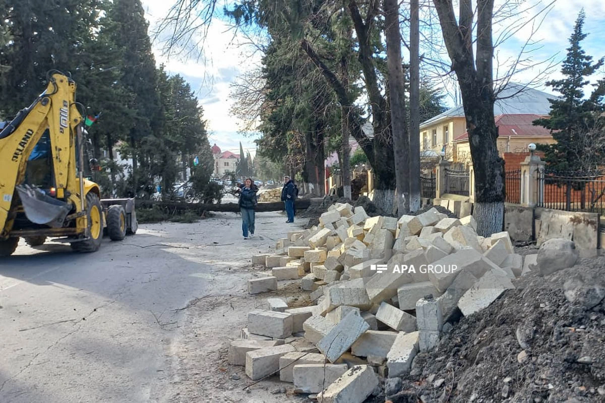 Zaqatalada külək irigövdəli ağacları yola aşırıb, xəsarət alan var - FOTO - YENİLƏNİB