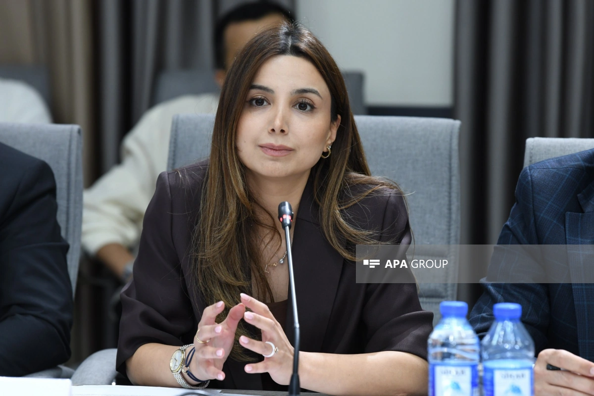 İdarə rəisi: Sosial şəbəkələrlə bağlı qanun layihəsində effektiv nəzarət mexanizmləri nəzərdə tutulur