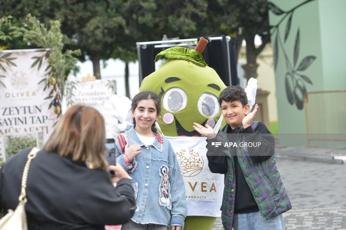 Bakı Bulvarında Zeytun Festivalının son günüdür  - FOTOLENT