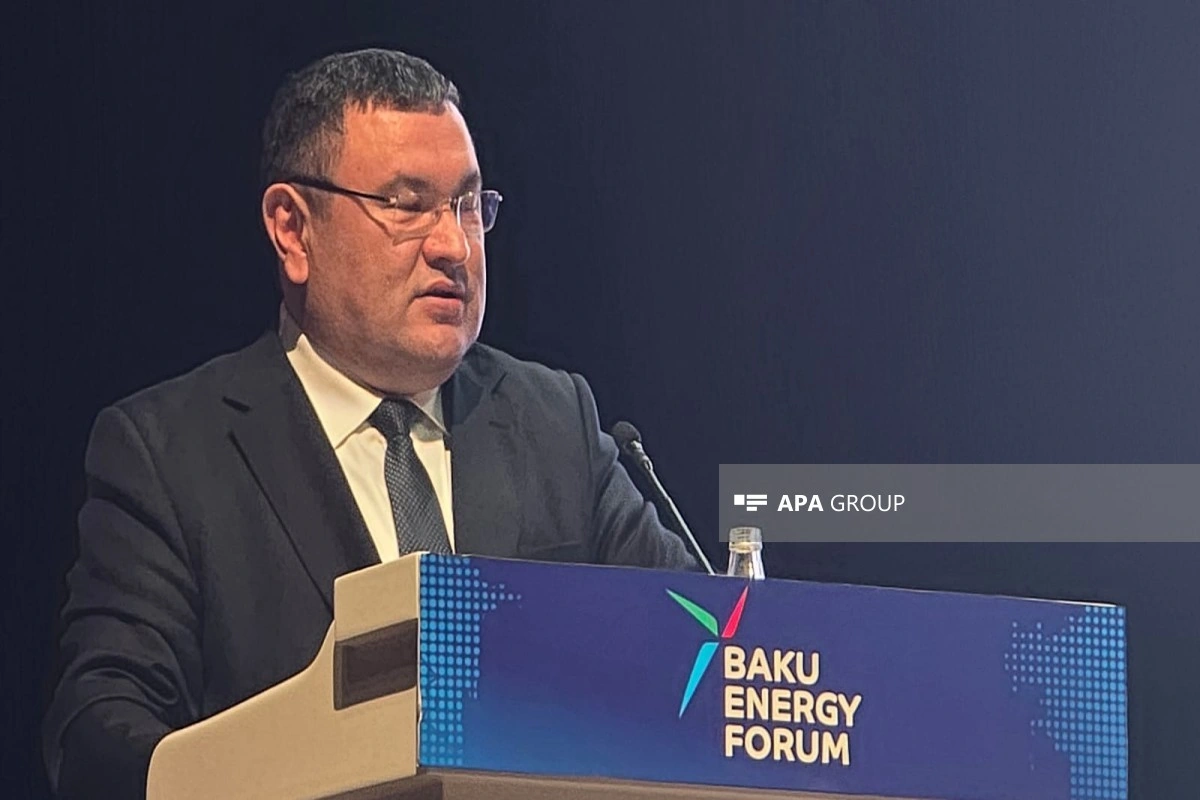 Özbəkistanlı nazir: Azərbaycanla Yaşıl Enerji Dəhlizi üzrə əməkdaşlığı gücləndiririk