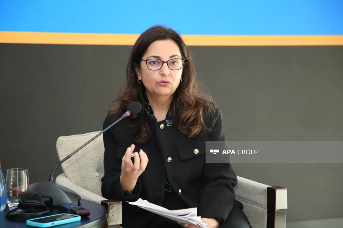 Azərbaycan üzrə ölkə rəhbəri: ADB Azərbaycanda mikromaliyyə sektorunun inkişafına dəstəyini davam etdirəcək