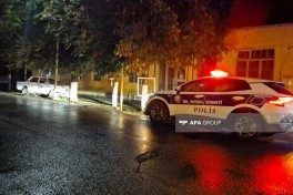 Lənkəranda ağaca çırpılan avtomobilin sürücüsü ölüb
