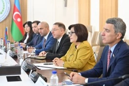 Sahibə Qafarova Efiopiya Palatasının sədri ilə görüşüb