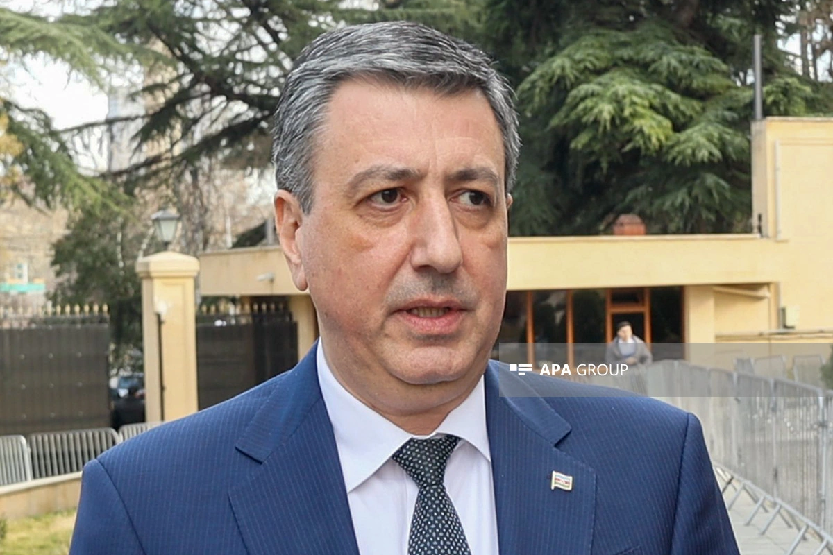 Gürcüstandakı səfirlikdə seçici aktivliyi yüksək olub - YENİLƏNİB
