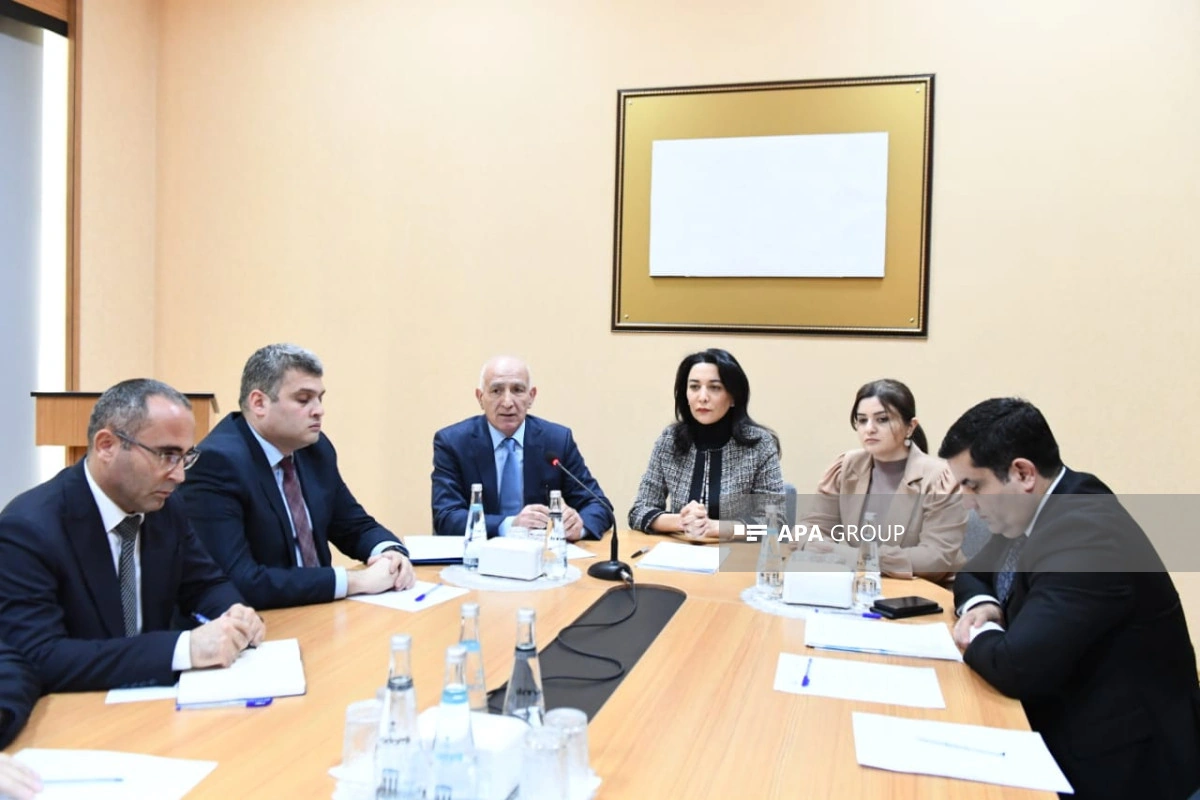 Səbinə Əliyeva: Seçki günü Ombudsman Aparatına daxil olan müraciətlər araşdırılacaq