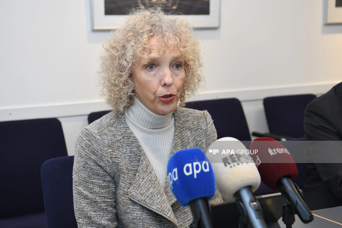 Almaniyalı nazir müavini: Nüvə enerjisi iqlim böhranının həlli üçün cavab deyil