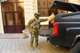 Müsadirə olunmuş külli miqdarda narkotik məhv edilib - FOTO
