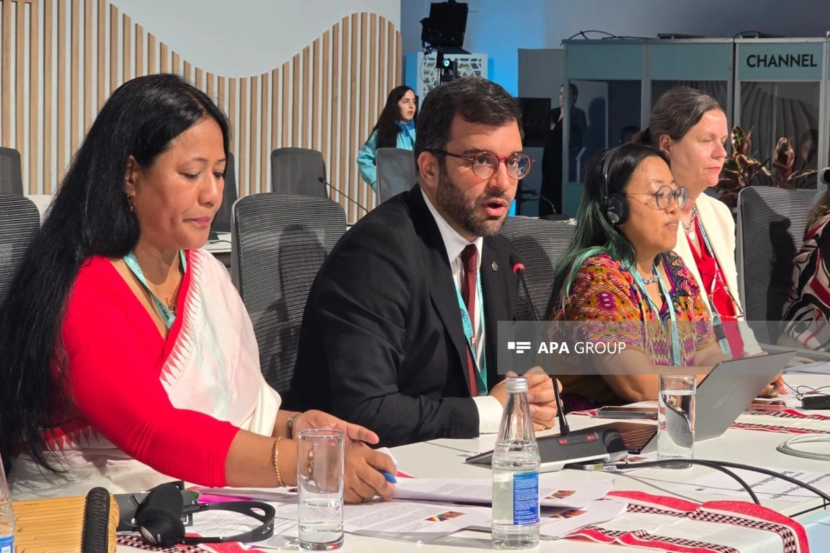 UN-Habitat rəsmisi: Torpağın zorla alınması aborigen xalqların əsas problemlərindən biridir
