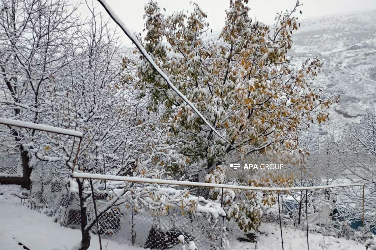 Naxçıvana qar yağıb - FOTO