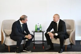Prezident İlham Əliyev Beynəlxalq Xizək və Snoubord Federasiyasının prezidenti ilə görüşüb