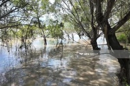Sabirabadda Kür çayında suyun səviyyəsi artıb