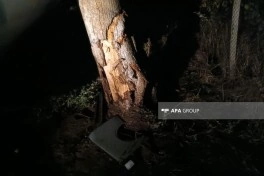 Tovuzda yük avtomobili elektrik dirəyinə çırpılıb, sürücü ölüb - FOTO