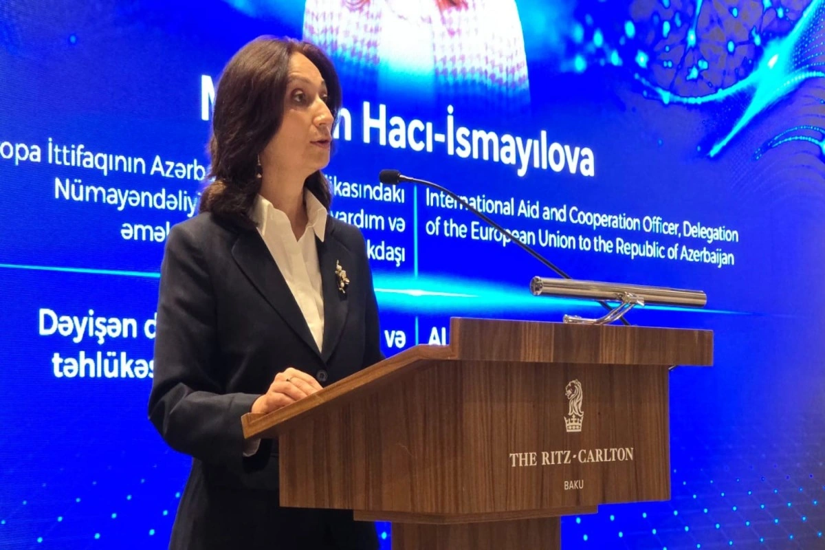 Aİ rəsmisi: Süni intellekt dövlət qurumlarına kiberhücumları erkən aşkarlamağa kömək edə bilər