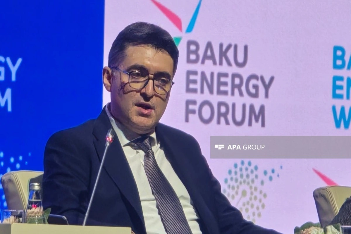Nazir müavini: Bu gün enerji dünyasının əsas istiqaməti elektrikləşdirmədir