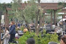 Bakı Bulvarında Zeytun Festivalının son günüdür  - FOTOLENT