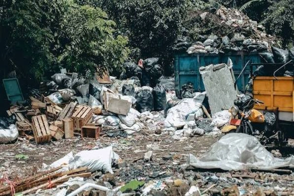 Gəncədə zibil poliqonunda ölü dölün tapılması ilə bağlı araşdırma başladılıb